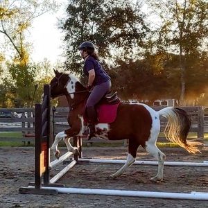 Meet your Posher, Louise